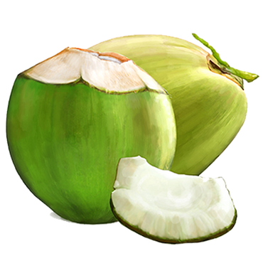 Coco Fresh - Tender Green Coconut -Bulk Order Minimum Quantity 500 pcs Liimra Naturals